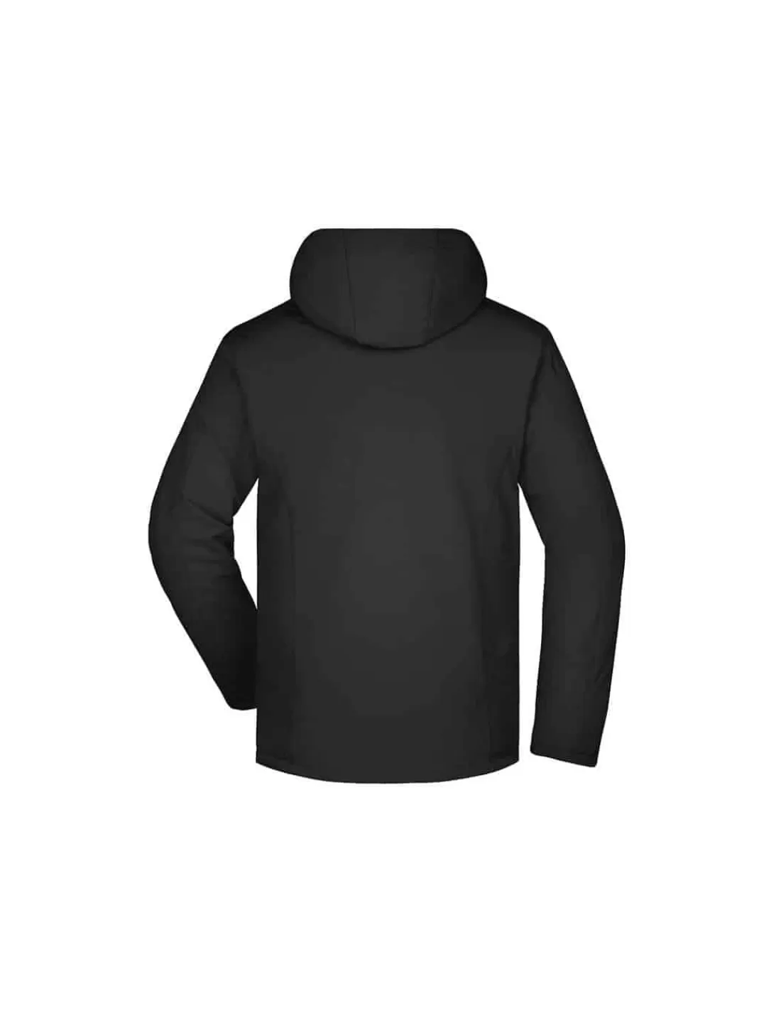 Shop Veste Sports D'Hiver Softshell Homme James & Nicholson Homme Vestes Homme